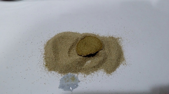 奈米銀寵物鼠沙(罐裝)