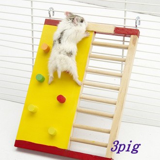 倉鼠攀岩爬梯玩具