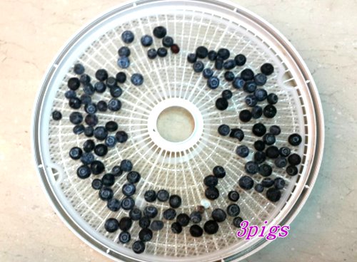 天然手工低溫烘培藍莓乾