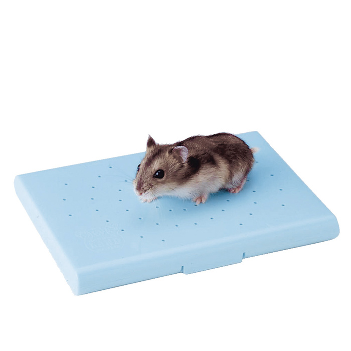 Marukan小動物用保冷劑 /鼠鼠消暑墊