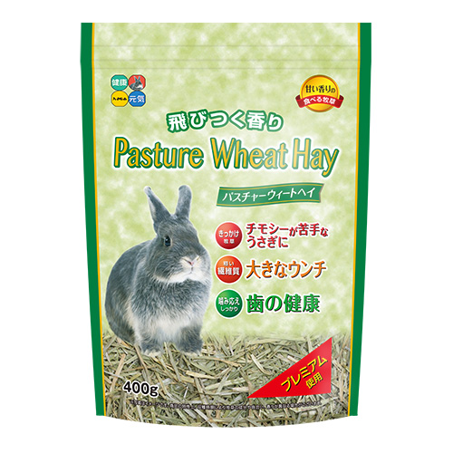 日本 Hipet 小麥草 Wheat Hay-400g(青綠)