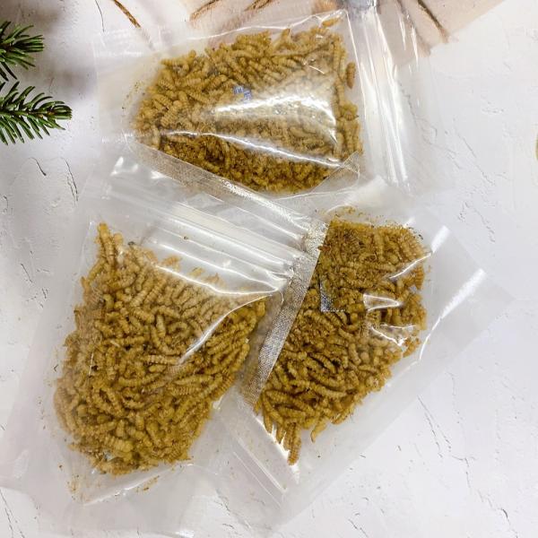 Minishow高蛋白麵包蟲【蛹】乾15g