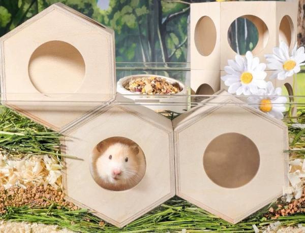 carno蜂巢躲避屋