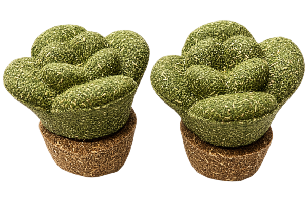 植造系列-啃啃菜園磨牙玩具(白菜款2入)